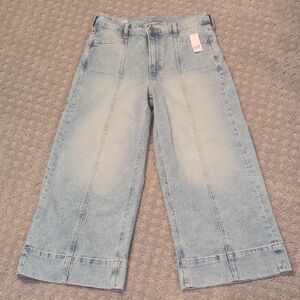 Gap High-rise Stride Ankle Front Pocket Pin Tuck Wide Leg Jeans Size 28 NWT